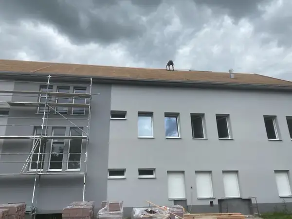 Zateplení budovy a kompletní rekonstrukce střechy ČZÚ Červený Újezd — fotografie 28